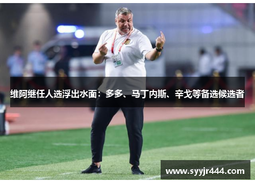 维阿继任人选浮出水面：多多、马丁内斯、辛戈等备选候选者